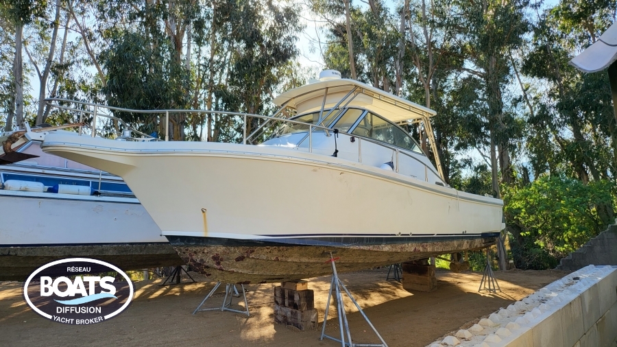 CAYMAN YACHTS CAYMAN 30 WA