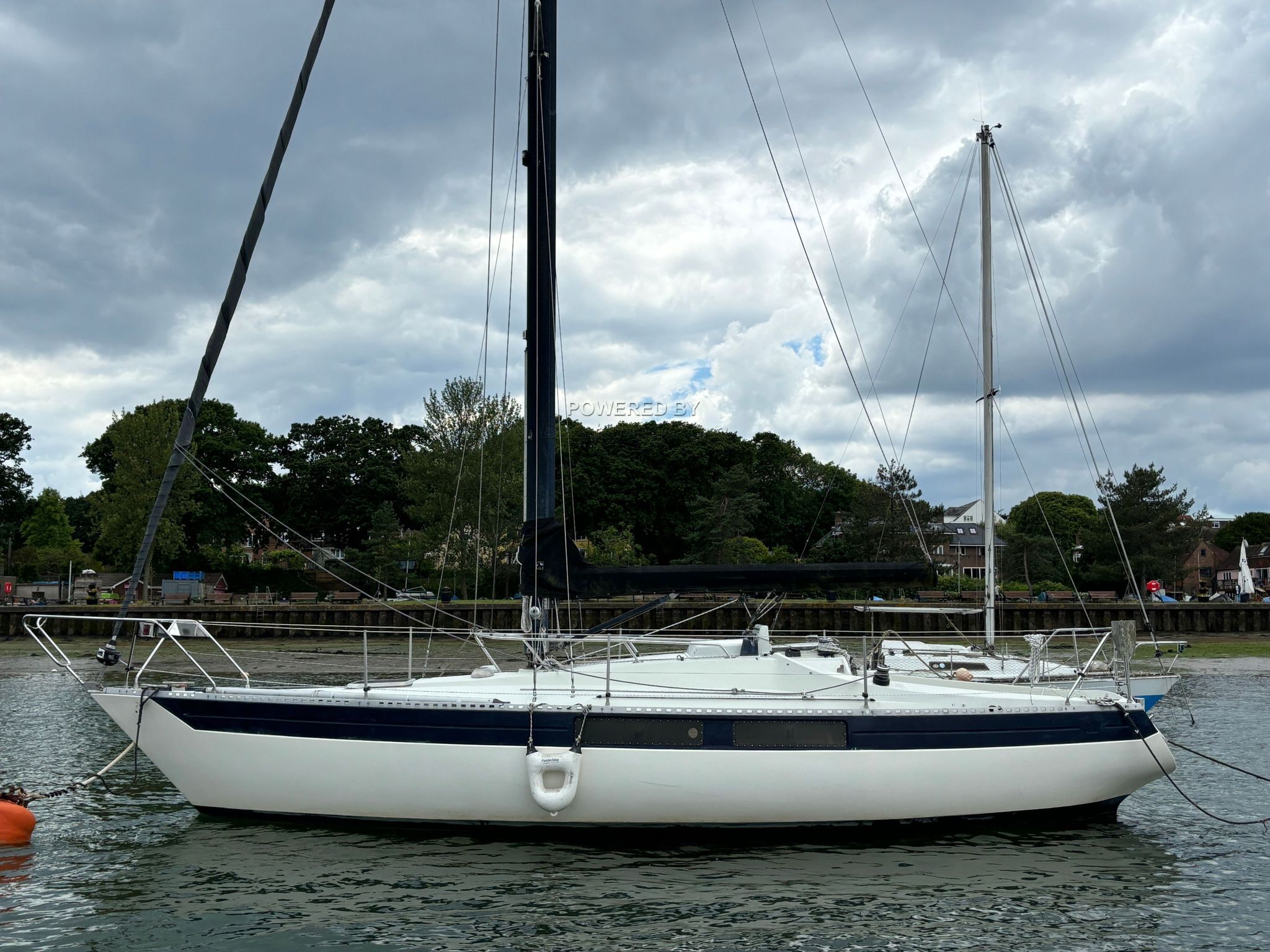 Kings Cruiser 33